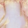 Пленка самоклеящаяся D&B 0,90*8м  мрамор розово - бежевый 0001М /6